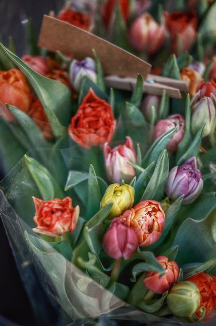 A close-up of a vibrant bouquet featuring an assortment of tulips in shades of orange, pink, purple, and yellow, arranged with lush green leaves and stems. The flowers are wrapped in clear cellophane,